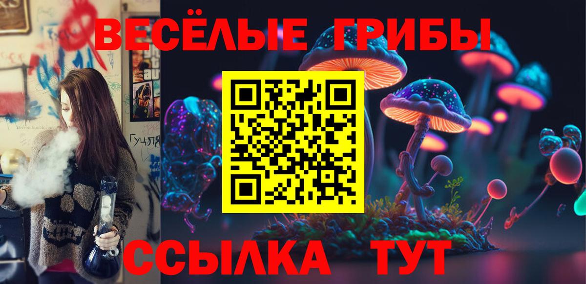 Кондопога  Псилоцибиновые грибы Cubensis  Вход с VPN 