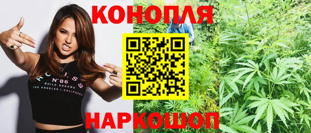Шишки марихуана конопля Кондопога