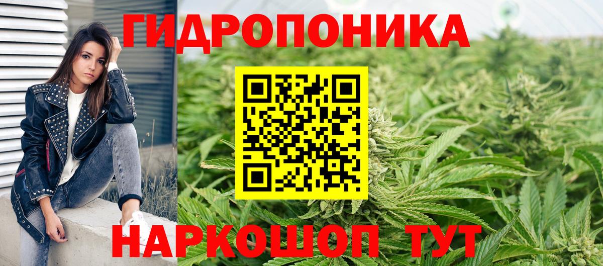 Каннабис тримм  Конопля Bruce Banner  Кондопога  Бошки марихуана семена  Вход с VPN 